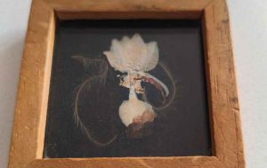 Kako se jedna toMAgo sličica našla u Argentini