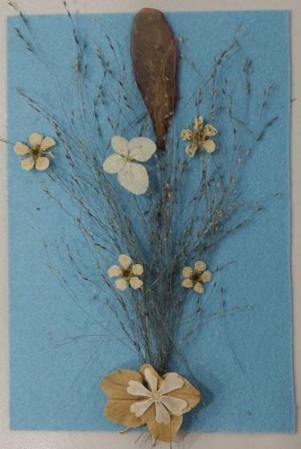 VELIKA-WhatsApp-Image-2025-11-25-at-15.33.58-1