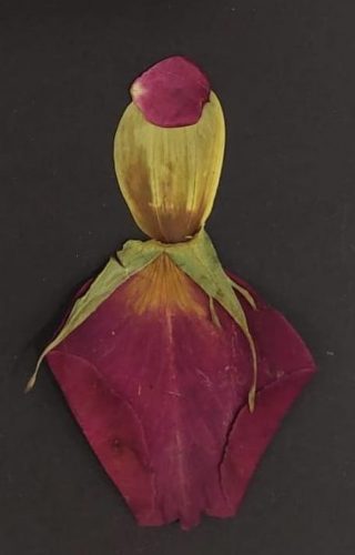 VELIKA-WhatsApp-Image-2025-11-25-at-15.33.58-2