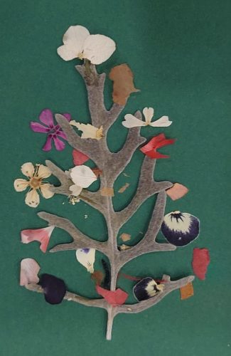 WhatsApp-Image-2025-11-25-at-15.33.57-2