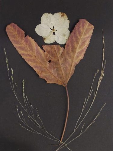 WhatsApp-Image-2025-11-25-at-15.33.57-3