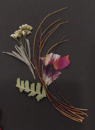 WhatsApp-Image-2025-11-25-at-15.33.57