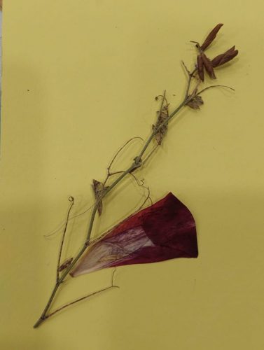 WhatsApp-Image-2025-11-25-at-15.34.20