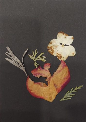 WhatsApp-Image-2025-11-25-at-15.34.21