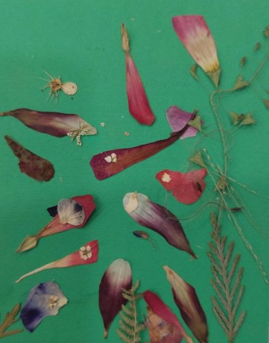 WhatsApp-Image-2025-11-25-at-15.57.32